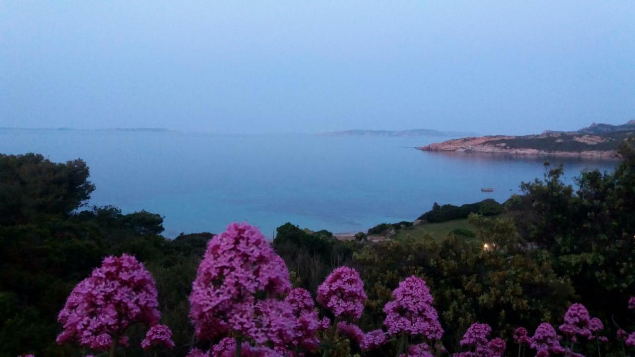 Appartamento Fronte Mare Santa Teresa Gallura Luaran gambar